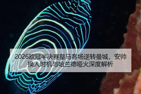 2026欧冠半决赛皇马客场逆转曼城，安帅换人时机与哈兰德哑火深度解析